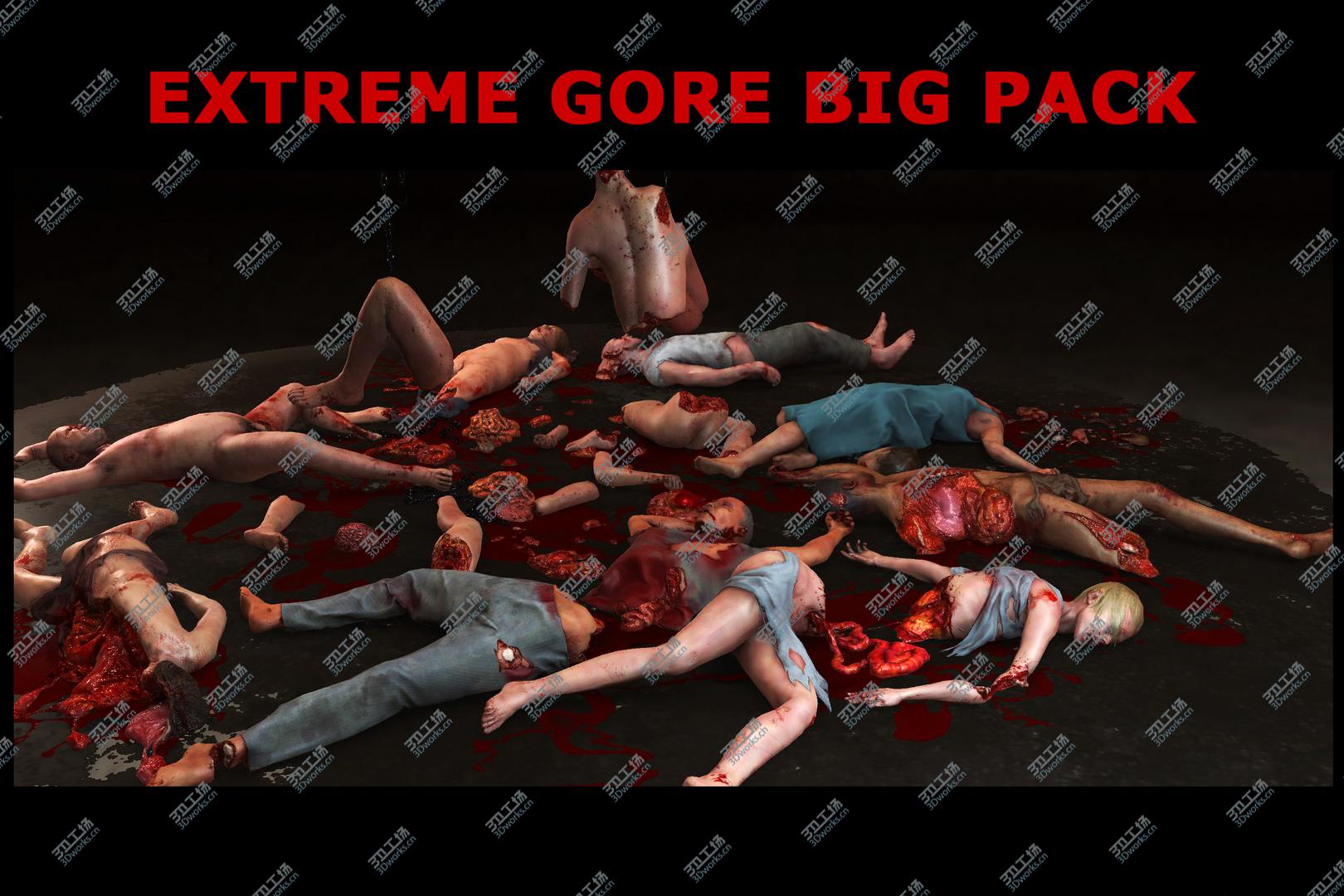 images/goods_img/202104021/3D Extreme Gore Big Pack/1.jpg